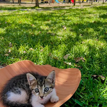 Apartament Tenuta Angelini Otranto