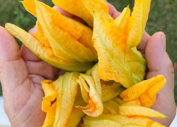 Tenuta Angelini Otranto