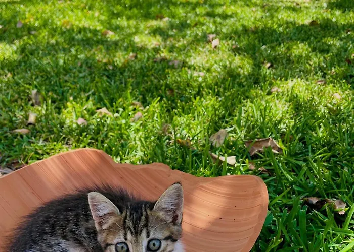 Apartment Tenuta Angelini Otranto