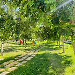 Tenuta Angelini