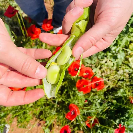 شقة Tenuta Angelini