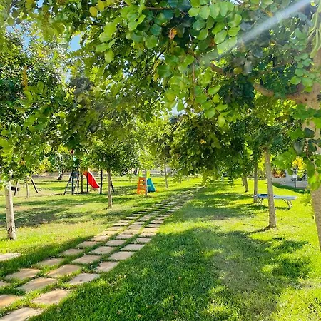 Tenuta Angelini
