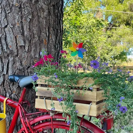 Tenuta Angelini 公寓