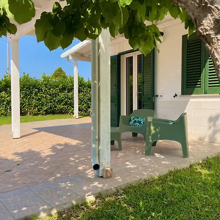 Tenuta Angelini *