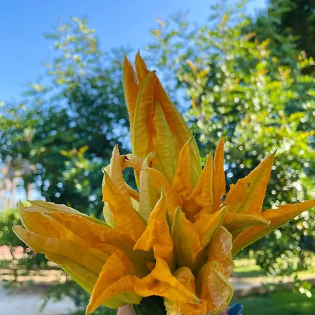 Tenuta Angelini أوترانتو