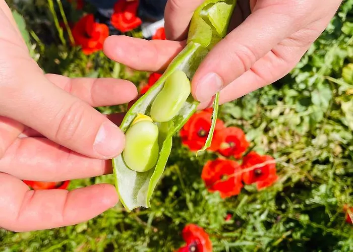 Appartamento Tenuta Angelini