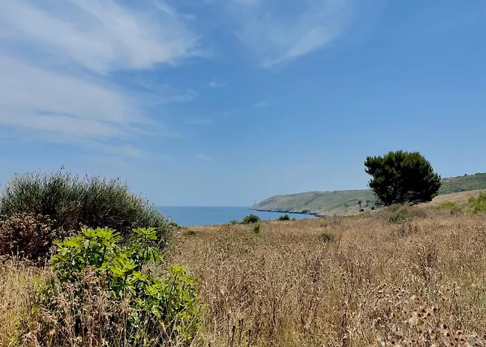 Tenuta Angelini Апартаменты