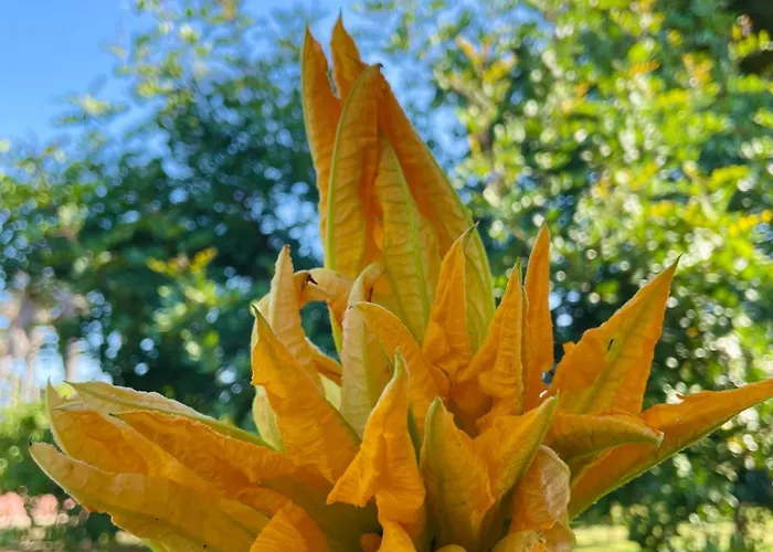 Tenuta Angelini Otranto